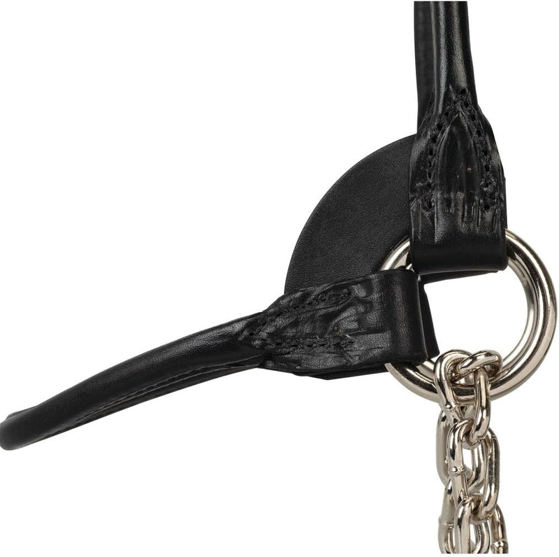 Weaver Leather Halfter für Milchprodukte/Rindfleisch XS Schwarz, XS Schwarz
