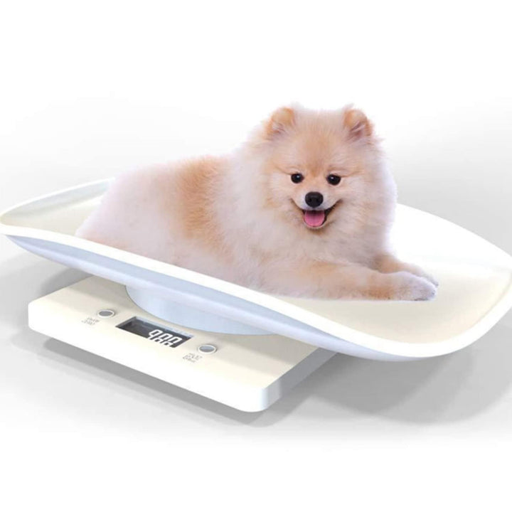 Atyhao Digitale Haustierwaage, Multifunktions-Waage für Katzen Hunde Messwerkzeug Elektronische Küch