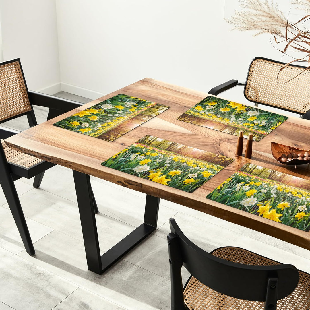KitchenYeah© Platzsets Abwaschbar 6-Teilig 45x30 cm Tischsets Platzdeckchen Platzset Unterlage Tisch