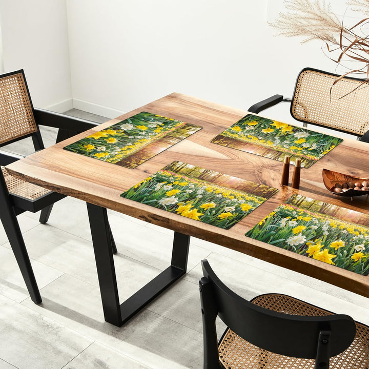 KitchenYeah© Platzsets Abwaschbar 6-Teilig 45x30 cm Tischsets Platzdeckchen Platzset Unterlage Tisch