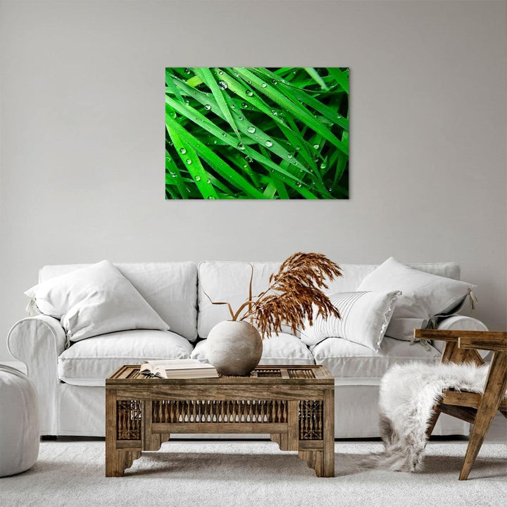 Bilder auf Leinwand Natur Gras Wasser Tropfen Leinwandbild 70x50cm Wandbilder Dekoration Wohnzimmer