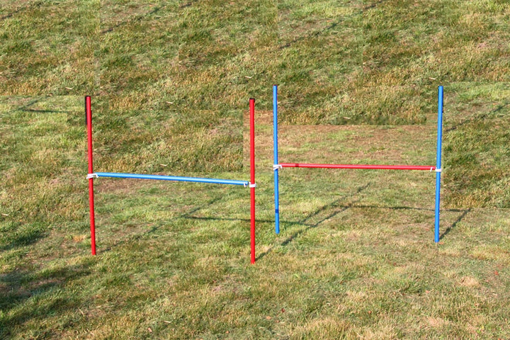 Agility-ÜBUNGS-ANFÄNGER-Set MIT SPRUNGRING/Slalom/HÜRDEN IN ROT/BLAU