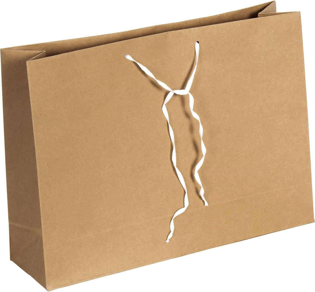 Bankers Box Basics Aufbewahrungstasche (Folio-Format, 101 x 254 x 356 mm) 25 Stück braun 1 weiss, 1