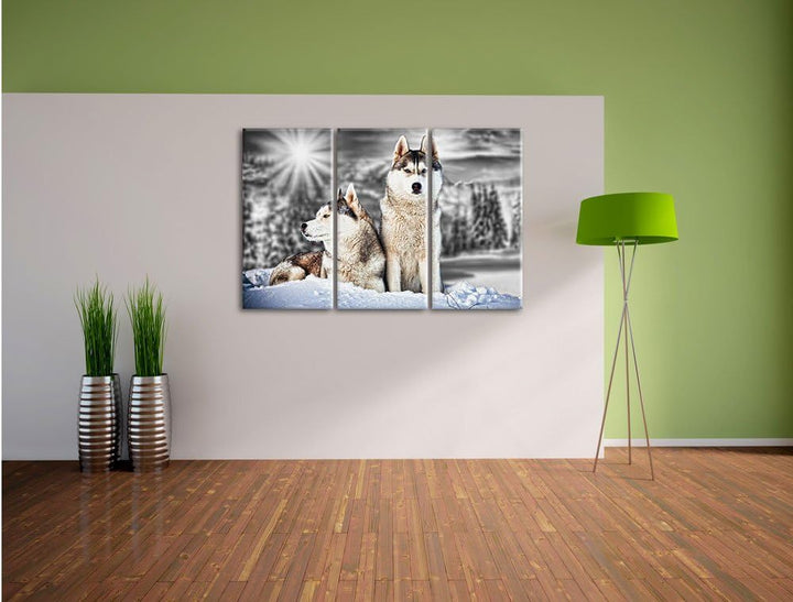 Pixxprint Zwei Wilde Huskies als Leinwandbild/Grösse: 3 Teilig (120x80 cm) cm/Wandbild/Kunstdruck/fe