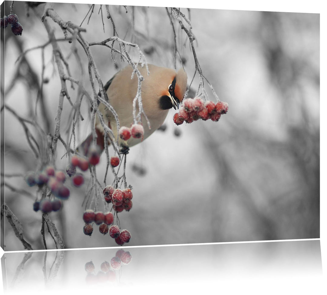 Pixxprint Kleiner Vogel im Vogelbeerbaum Schwarz/Weiss, Format: 100x70 auf Leinwand, XXL riesige Bil