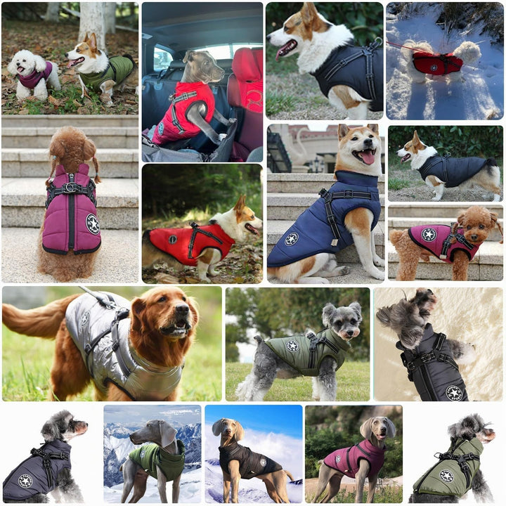 Hundejacke Winterweste Jacken - Hundemantel mit Geschirr, Wasserdicht, Maschinen Waschbar, Reflektie