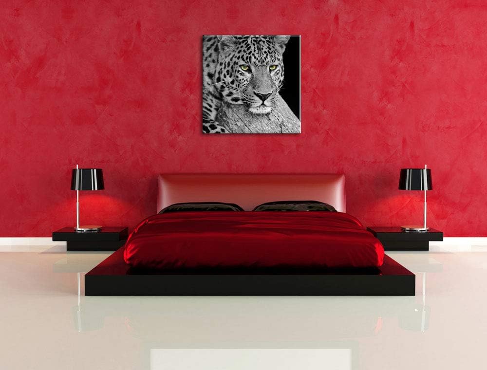 Pixxprint ruhender Leopard als Leinwandbild/Grösse: 70x70 cm/Wandbild/Kunstdruck/fertig bespannt, 70