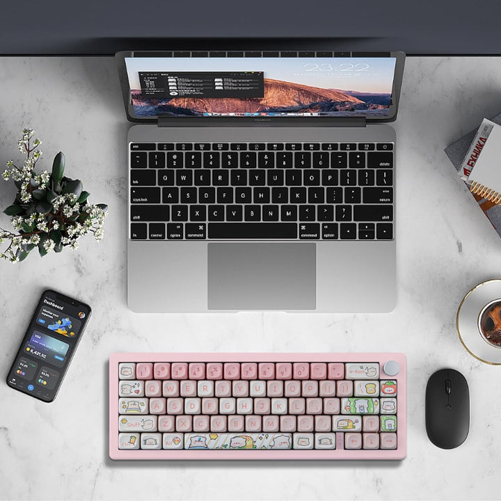 JOMKIZ 141 Keys PBT Keycaps,MOA Profile Keycaps Dye Sublimation Customized ANSI Layout Keycaps Set C