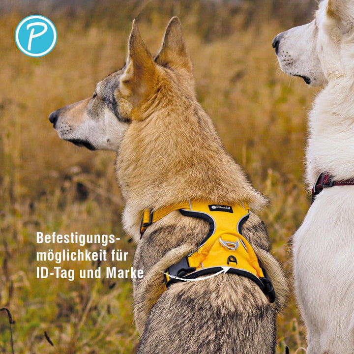 Petlando Hundegeschirr Outdoor – stark reflektierend, gepolstert, atmungsaktiv, robust, stufenlos ve