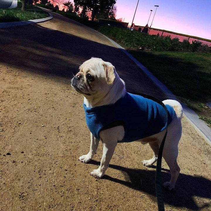 Gooby - Stretch Fleece Weste Pullover Fleece Weste Jacke Pullover für Hunde Stahlblau Grösse S stahl