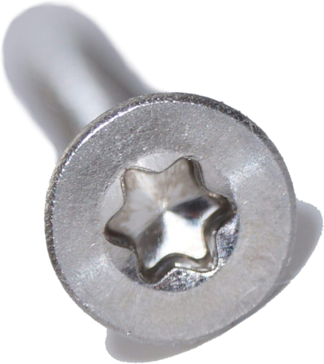 Senkschrauben mit Innensechsrund M6X30 TX30 100 Stück ISO 14581 A2 Edelstahl rostfrei Senkkopfschrau