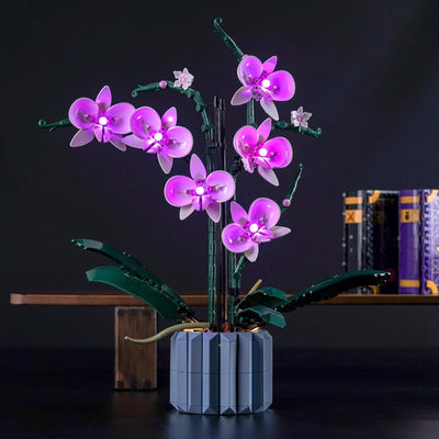 Led Licht Set Kompatibel mit Lego Orchidee (Nur Lichter, kein Baustein), Licht-Kit Compatible with L