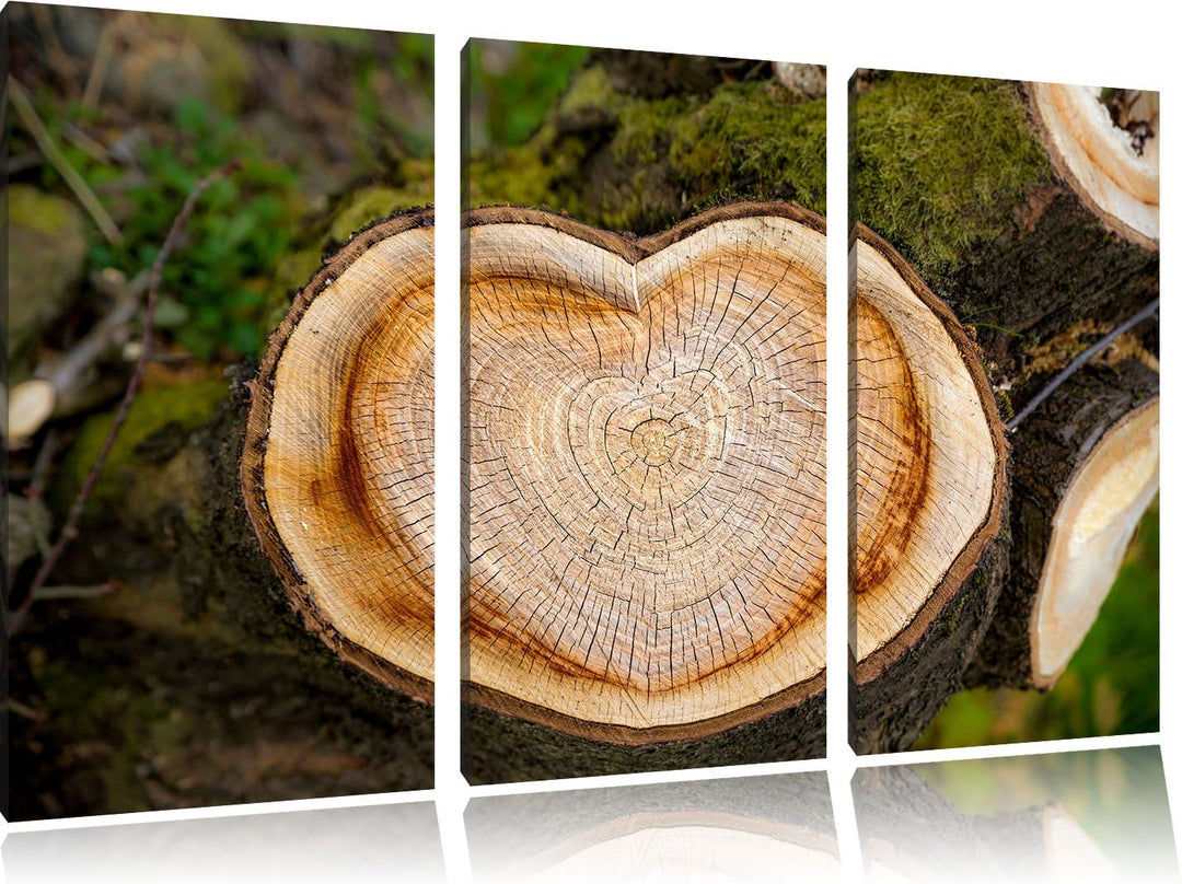 Pixxprint Jahresringe am Baumstamm / 3-Teilig/Gesamtmass 120cm Leinwandbild bespannt auf Holzrahmen/