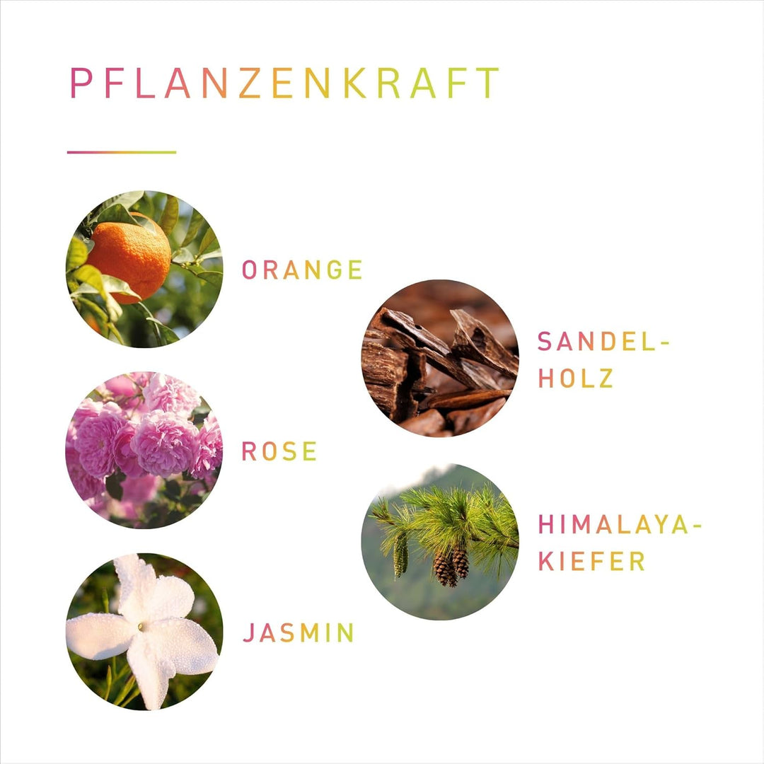 PRIMAVERA Körperöl Von Herzen bio* 50 ml – naturreine Pflanzenkraft – Glasflasche – Aromaöl, Körperö