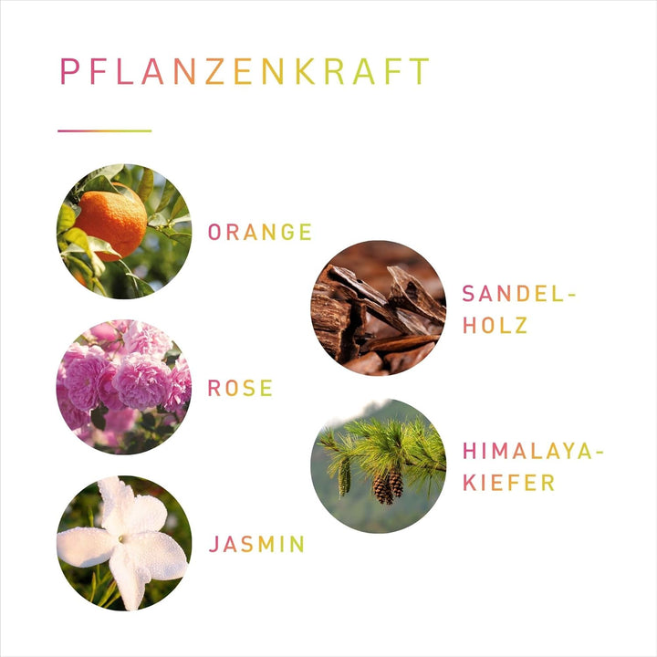 PRIMAVERA Körperöl Von Herzen bio* 50 ml – naturreine Pflanzenkraft – Glasflasche – Aromaöl, Körperö