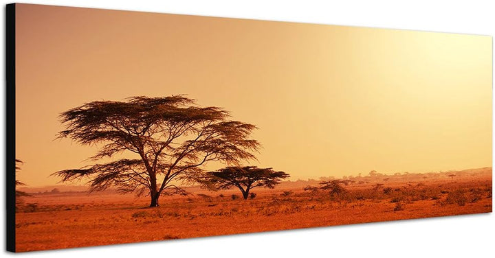 Paul Sinus Art Panoramabild auf Leinwand und Keilrahmen 150x50cm Afrika Namibia Baum Abendstimmung