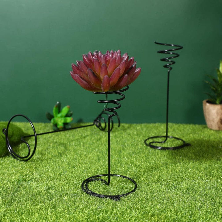 YARNOW 6 Stücke Garten Air for Racks Steht Tillandsia Draht Anzeige Halter Edelstahl Silber Pflanzer
