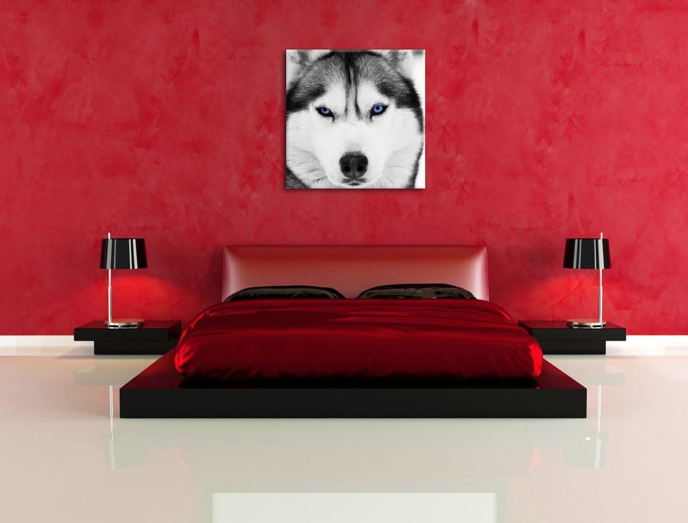 Pixxprint Husky mit blauen Augen als Leinwandbild | Grösse: 70x70 cm | Wandbild | Kunstdruck | ferti