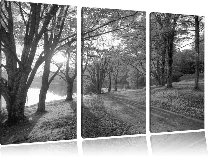 Herbstlicher Park am See schwarz/weiss 3-Teiler Leinwandbild 120x80 Bild auf Leinwand, XXL riesige B