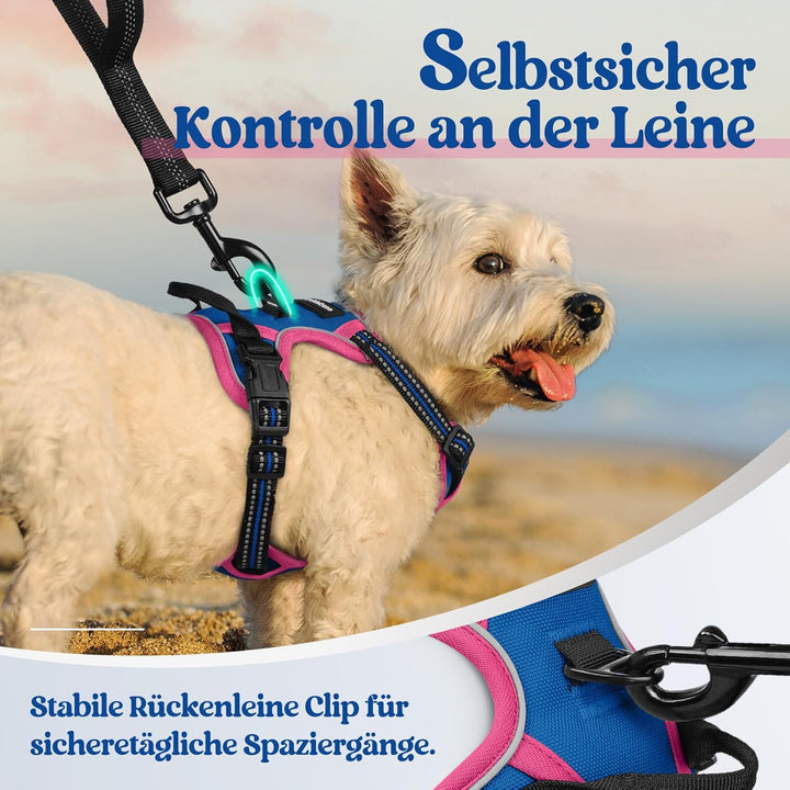 rabbitgoo Hundegeschirr Mittelgrosse Hunde, Anti Zug Geschirr mit Kontrolle, No Pull Verstellbar Hun