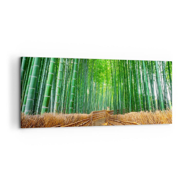Wandbilder Dekoration Wohnzimmer Bambus Pflanze Panorama Bilder auf Leinwand 120x50cm Leinwandbild m