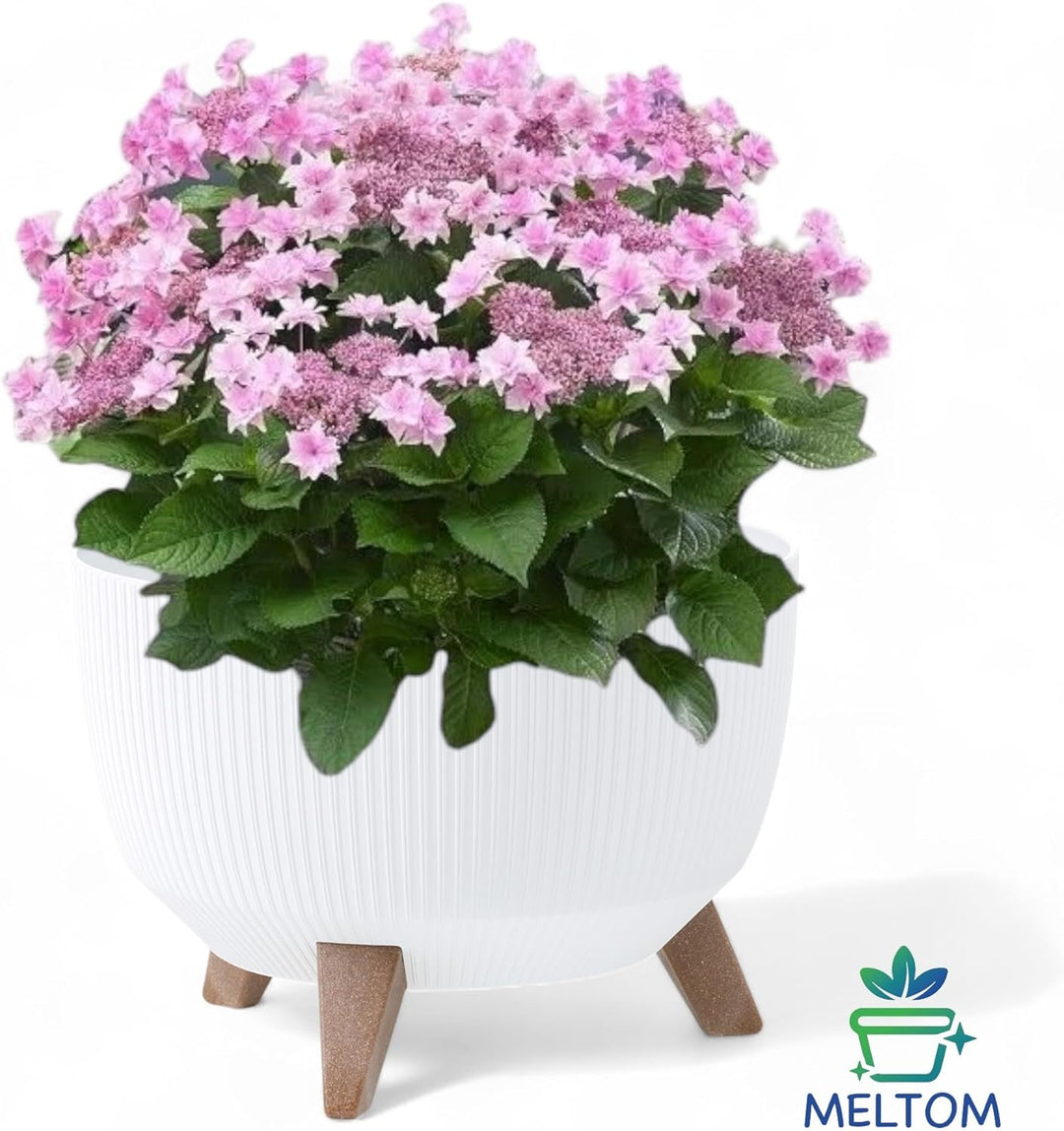 MELTOM Blumentopf Schale mit Füssen Einsatz Kräutertopf Übertopf Pflanzschale Eco Recycled (Weiss, L
