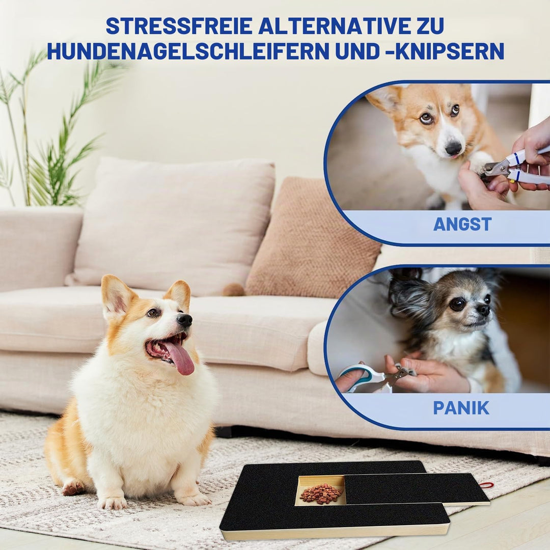 10 Stück Ersatzblättern Schleifpapier für Krallenschleifer für Hunde,Kratzbrett Hund Schleifpapier,S