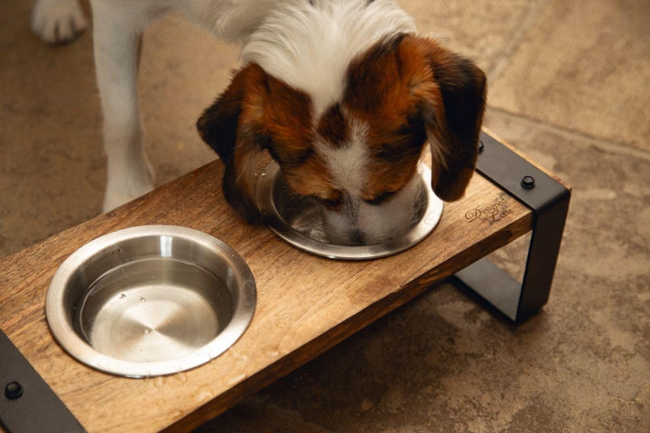 Beeztees K&Bz Hundegeschirr, Holz, Karint, 56 x 28 x 18 cm, 2 x 1300 ml, Braun, 2000 g 56 x 28 x 18