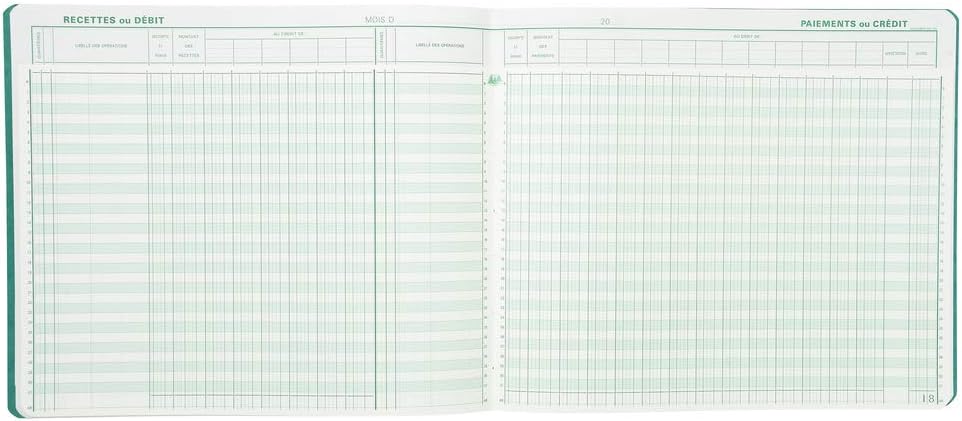 EXACOMPTA Spaltenbuch "2 libellÈs", 20 Spalten auf VE = 1