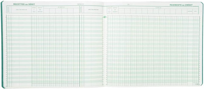EXACOMPTA Spaltenbuch "2 libellÈs", 20 Spalten auf VE = 1