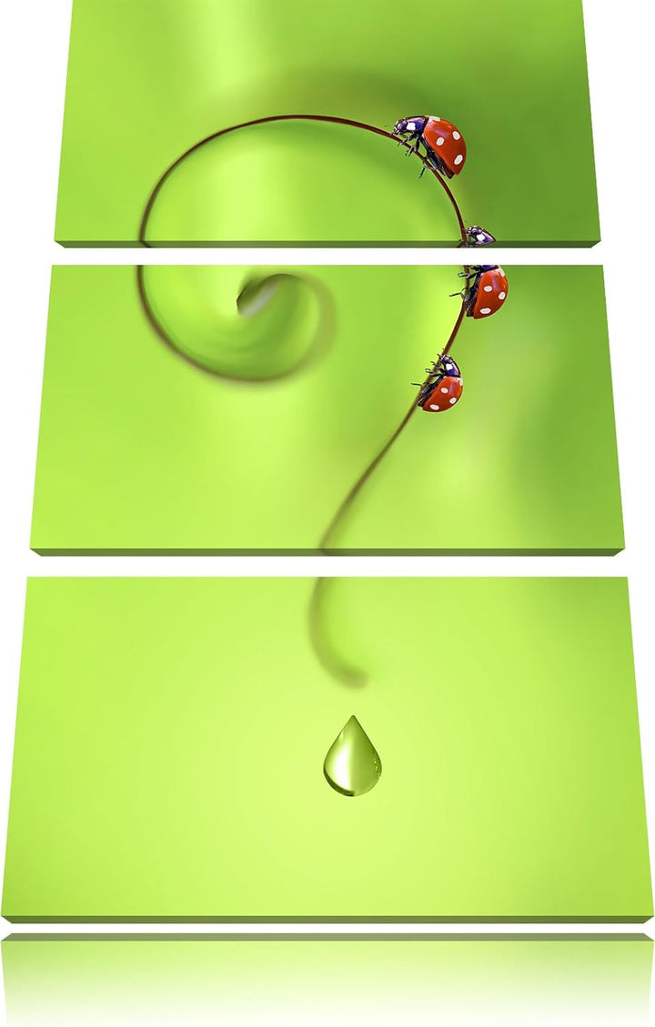 Pixxprint Marienkäfer Folgen dem Fragezeichen 3-Teiler Leinwandbild 120x80 Bild auf Leinwand