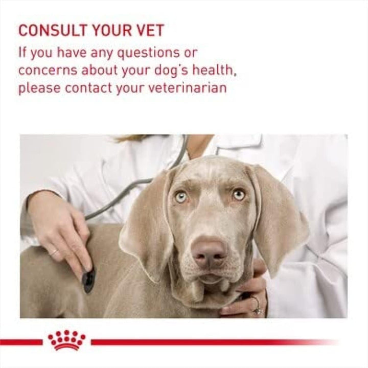 ROYAL CANIN Digestive Care Medium Poultry - Dry Dog Food - 12 kg