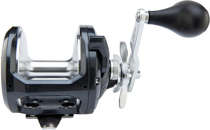 Shimano Torium konventionelle Rolle 14HGA (Right handed), 14HGA (Right handed)