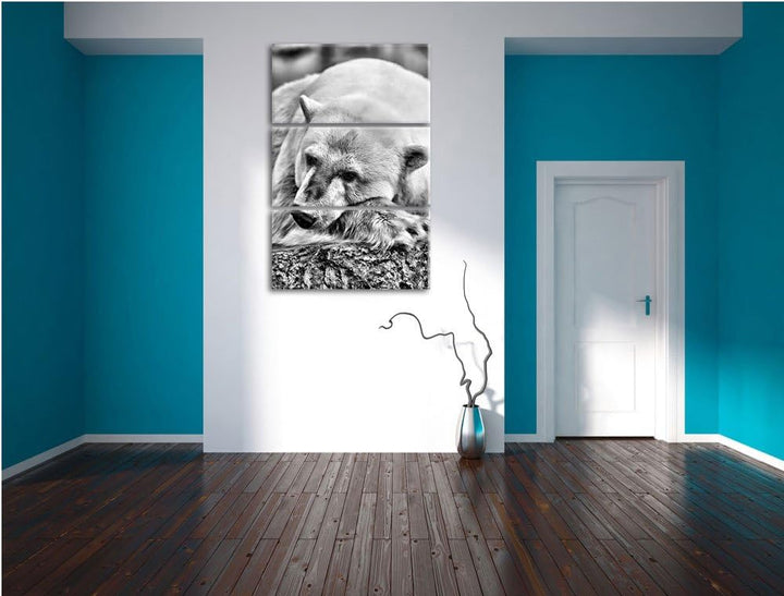 Pixxprint Monocrome, schlafender Eisbär 3-Teiler Leinwandbild 120x80 Bild auf Leinwand