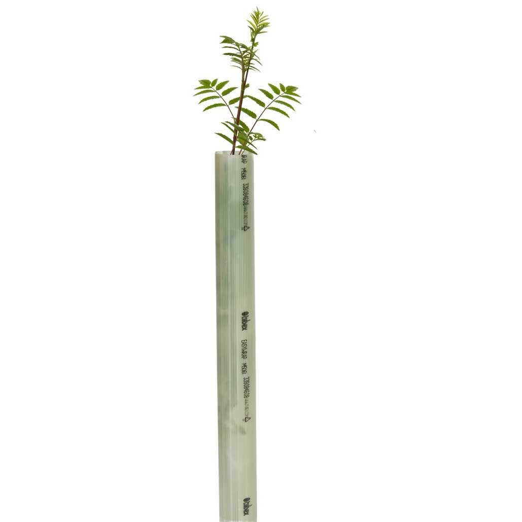 Tubex Easywrap Obstbaumschutz, Wuchshülle und Verbissschutz speziell für Obstbäume, 60cm Höhe. Ø 50-