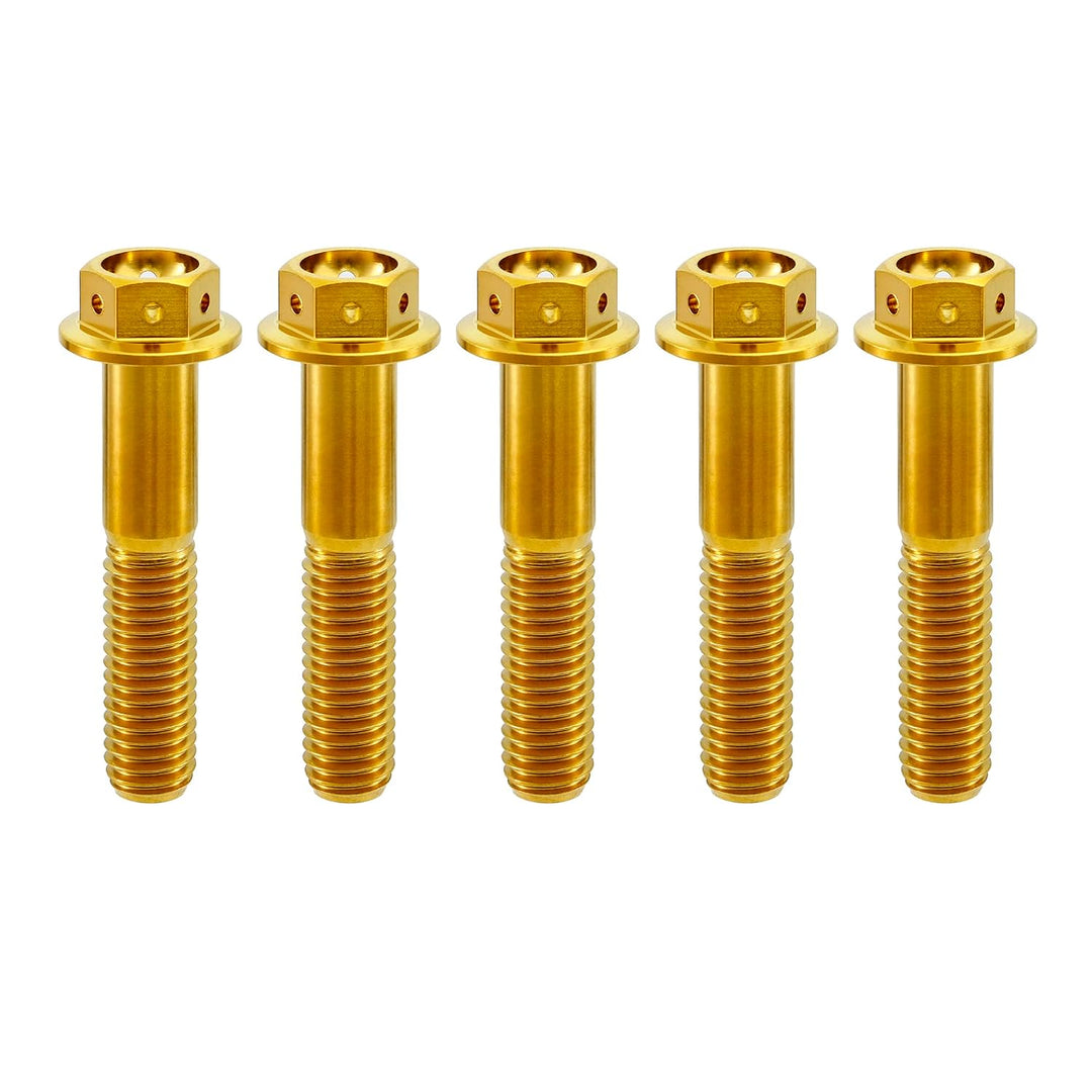 RISON Titanium Bolzen M8x1.25x25mm Titan Flansch Schrauben TC4 Titan Schrauben Sechskantschraube gol