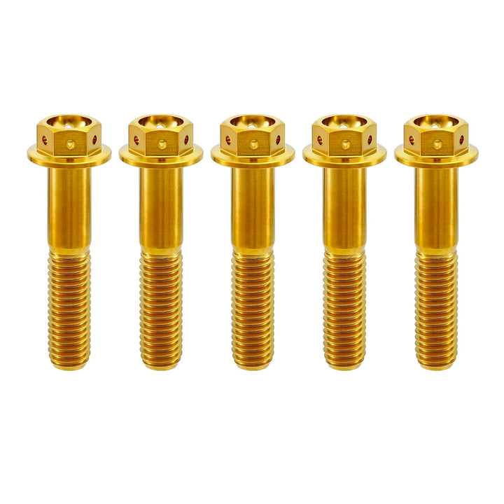 RISON Titanium Bolzen M8x1.25x25mm Titan Flansch Schrauben TC4 Titan Schrauben Sechskantschraube gol