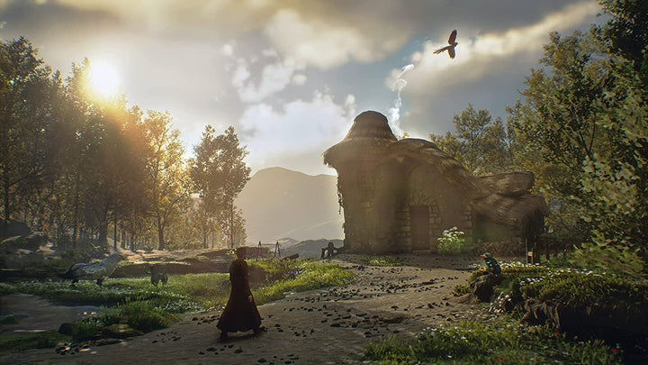 Warner BROS. Games Hogwarts Legacy Standard Anglais Xbox ONE