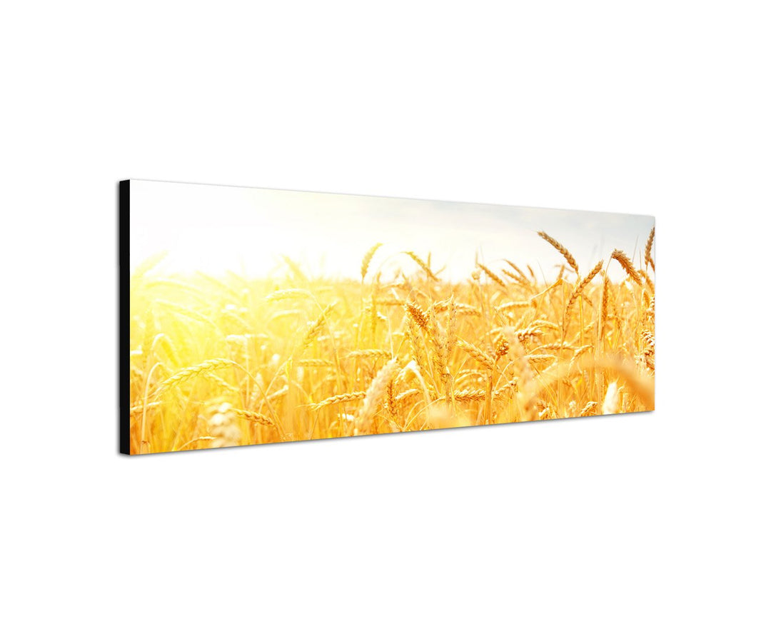 Augenblicke Wandbilder Keilrahmenbild Wandbild 150x50cm Kornfeld Herbst Sonnenstrahlen