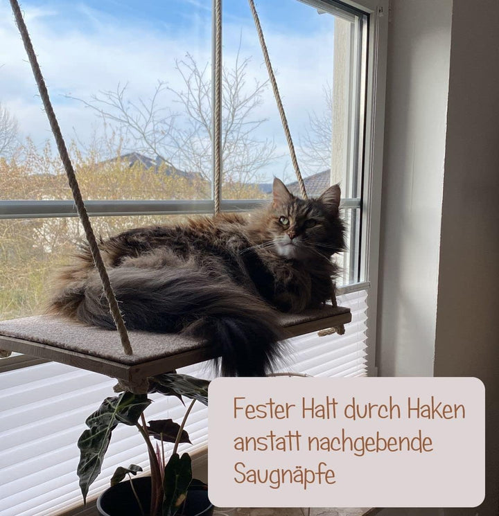 CapriCorner Katzen Fensterliege, kein Herunterfallen Dank Sisalseile, Holz statt Plastik - Neuer Fen