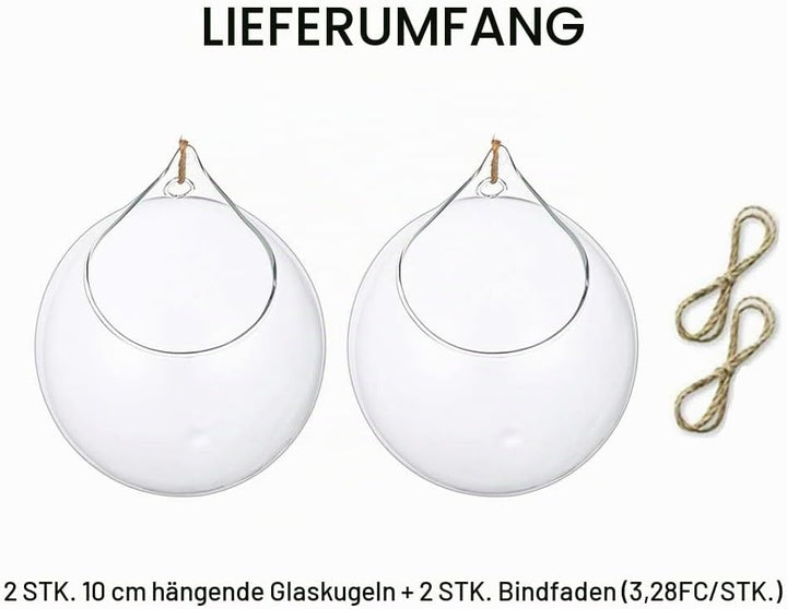 Hängende Glaskugel Vase Glaskugel 6 Pcs Grosse Öffnung Sukkulenten Aufhängen Terrarium Glas Flower A