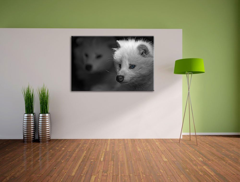 hübscher Polarfuchs in Höhle schwarz/weiss auf Leinwand, XXL riesige Bilder fertig gerahmt mit Keilr