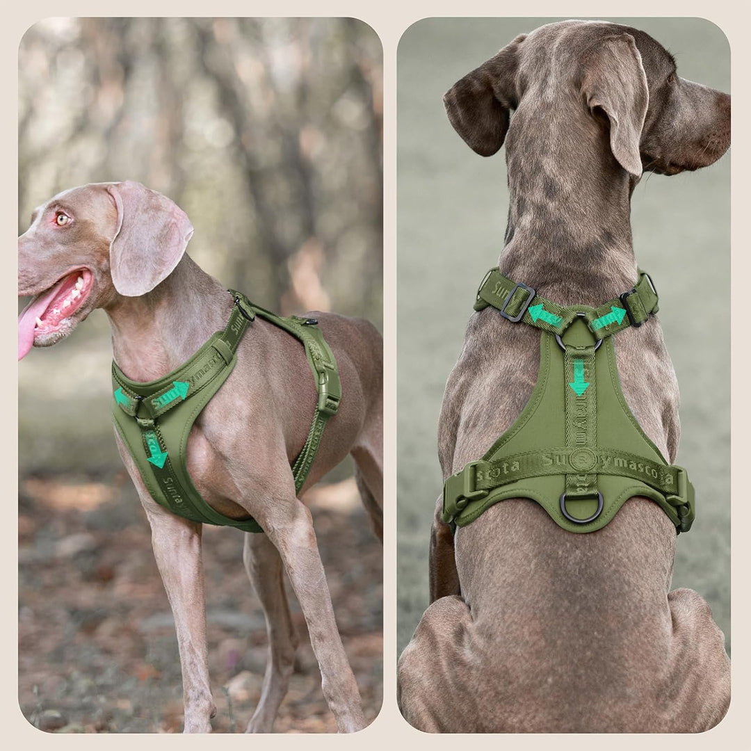 No Pull Hundegeschirr mit weicher Lycra-Polsterung, atmungsaktiver Komfortweste aus Mesh, Verstellba