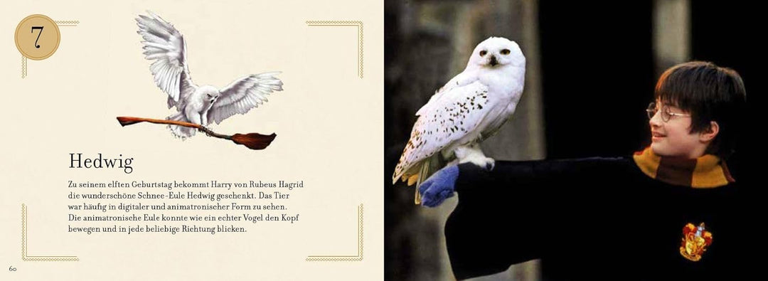 Aus den Filmen zu Harry Potter: Weihnachten in Hogwarts: Das grosse Adventskalenderbuch: Mit 24 Weih