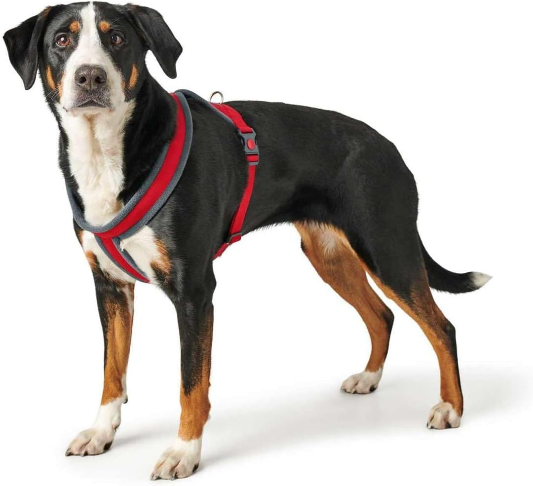 HUNTER Hundegeschirr LONDON COMFORT, atmungsaktives 3D-Mesh, 2-fach verstellbar, Sicherheitsverschlu