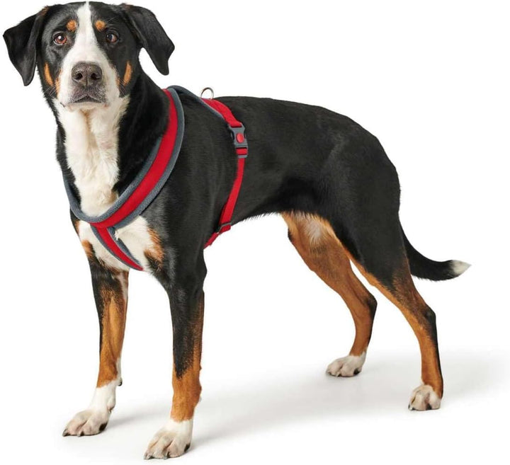 HUNTER Hundegeschirr LONDON COMFORT, atmungsaktives 3D-Mesh, 2-fach verstellbar, Sicherheitsverschlu