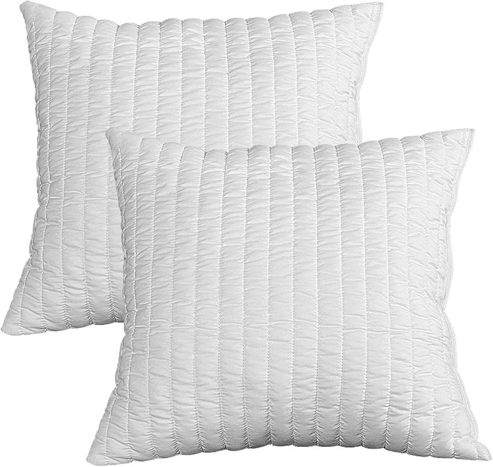 EVERGREENWEB ✅ Angebot! 2er Set Kissen 100% Memory Flocken 60x60 cm, 15 cm Hoch, Ideal gegen Nackens