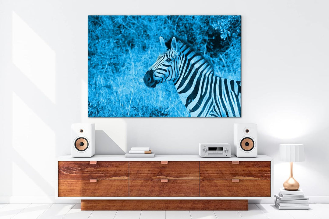 deyoli edles Zebra Format: 100x70 Effekt: Monocrome Blau als Leinwand, Motiv fertig gerahmt auf Echt