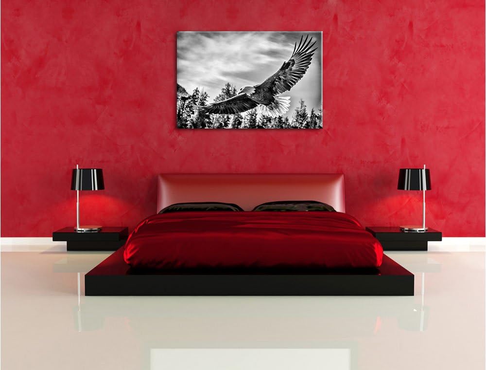 Monocrome, Adler, Format: 100x70 auf Leinwand, XXL riesige Bilder fertig gerahmt mit Keilrahmen, Kun