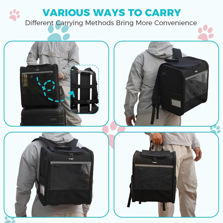 Katzenrucksack mit Netzfenster, Tragbare und Faltbare Haustier Rucksack mit integrierter Sicherheits